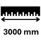 3000 mm