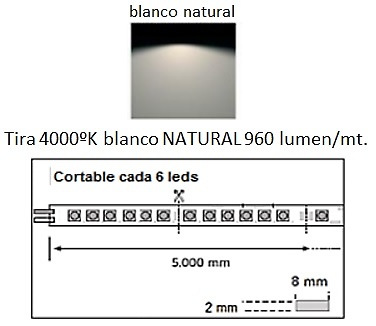 AB LED TIRA FLEXILED 6 W/MT 24V ALTA POTENCIA ESTANCA IP54 cortado a medida 8MM 100MM 4000ºK BLANCO NATURAL 24V 6 W/MT 200MM 24V 4000ºK BLANCO NATURAL 6 W/MT 8MM 24V 300MM 4000ºK BLANCO NATURAL 6 W/MT 8MM 24V 4000ºK BLANCO NATURAL 400MM 6 W/MT 8MM 24V 4000ºK BLANCO NATURAL 500MM 6 W/MT 8MM 24V 4000ºK BLANCO NATURAL 600MM 6 W/MT 8MM 24V 4000ºK BLANCO NATURAL 6 W/MT 700MM 8MM 24V 4000ºK BLANCO NATURAL 6 W/MT 800MM 8MM 24V 4000ºK BLANCO NATURAL 6 W/MT 8MM 900MM 1000MM 24V 4000ºK BLANCO NATURAL 6 W/MT 8MM 1100MM 24V 4000ºK BLANCO NATURAL 6 W/MT 8MM 1200MM 24V 4000ºK BLANCO NATURAL 6 W/MT 8MM 1300MM 24V 4000ºK BLANCO NATURAL 6 W/MT 8MM 1400MM 24V 4000ºK BLANCO NATURAL 6 W/MT 8MM 1500 MM 24V 4000ºK BLANCO NATURAL 6 W/MT 8MM 1600MM 24V 4000ºK BLANCO NATURAL 6 W/MT 8MM 1700MM 24V 4000ºK BLANCO NATURAL 6 W/MT 8MM 1800MM 24V 4000ºK BLANCO NATURAL 6 W/MT 8MM 1900MM 24V 4000ºK BLANCO NATURAL 6 W/MT 8MM 2000 MM 24V 4000ºK BLANCO NATURAL 6 W/MT 8MM 2100MM 24V 4000ºK BLANCO NATURAL 6 W/MT 8MM 2200MM 24V 4000ºK BLANCO NATURAL 6 W/MT 8MM 2300mm 24V 4000ºK BLANCO NATURAL 6 W/MT 8MM 2400MM 24V 4000ºK BLANCO NATURAL 6 W/MT 8MM 24V 2500 MM 4000ºK BLANCO NATURAL 6 W/MT 8MM 24V 2600 MM 4000ºK BLANCO NATURAL 6 W/MT 8MM 24V 2700MM 4000ºK BLANCO NATURAL 6 W/MT 8MM 24V 2800MM 4000ºK BLANCO NATURAL 6 W/MT 8MM 24V 2900MM 4000ºK BLANCO NATURAL 6 W/MT 8MM 24V 3000 MM 4000ºK BLANCO NATURAL 6 W/MT 8MM 24V 3100MM 4000ºK BLANCO NATURAL 6 W/MT 8MM 24V 3200MM 4000ºK BLANCO NATURAL 6 W/MT 8MM 24V 3300MM 4000ºK BLANCO NATURAL 6 W/MT 8MM 24V 3400MM 4000ºK BLANCO NATURAL 6 W/MT 8MM 24V 3500MM 4000ºK BLANCO NATURAL 6 W/MT 8MM 24V 3600 MM 4000ºK BLANCO NATURAL 6 W/MT 8MM 24V 3700MM 4000ºK BLANCO NATURAL 6 W/MT 8MM 24V 3800MM 4000ºK BLANCO NATURAL 6 W/MT 8MM 24V 3900MM 4000ºK BLANCO NATURAL 6 W/MT 8MM 24V 4000ºK BLANCO NATURAL 4000 MM 6 W/MT 8MM 24V 4000ºK BLANCO NATURAL 4100MM 6 W/MT 8MM 24V 4000ºK BLANCO NATURAL 4200MM 6 W/MT 8MM 24V 4000ºK BLANCO NATURAL 4300MM 6 W/MT 8MM 24V 4000ºK BLANCO NATURAL 4400MM 6 W/MT 8MM 24V 4000ºK BLANCO NATURAL 4500MM 6 W/MT 8MM 24V 4000ºK BLANCO NATURAL 4600MM 6 W/MT 8MM 24V 4000ºK BLANCO NATURAL 4700MM 6 W/MT 8MM 24V 4000ºK BLANCO NATURAL 4800MM 6 W/MT 8MM 24V 4000ºK BLANCO NATURAL 4900MM 6 W/MT 8MM 24V 4000ºK BLANCO NATURAL 5000 MM 6 W/MT 8MM 