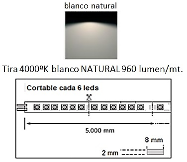 AB LED TIRA FLEXILED 6 W/MT 24V ALTA POTENCIA ESTANCA IP54 cortado a medida 8MM 100MM 4000ºK BLANCO NATURAL 24V 6 W/MT 8MM 200MM 4000ºK BLANCO NATURAL 24V 6 W/MT 8MM 300MM 4000ºK BLANCO NATURAL 24V 6 W/MT 8MM 400MM 4000ºK BLANCO NATURAL 24V 6 W/MT 8MM 500MM 4000ºK BLANCO NATURAL 24V 6 W/MT 8MM 600MM 4000ºK BLANCO NATURAL 24V 6 W/MT 8MM 700MM 4000ºK BLANCO NATURAL 24V 6 W/MT 8MM 800MM 4000ºK BLANCO NATURAL 24V 6 W/MT 8MM 900MM 4000ºK BLANCO NATURAL 24V 6 W/MT 8MM 1000MM 4000ºK BLANCO NATURAL 24V 6 W/MT 8MM 1100MM 4000ºK BLANCO NATURAL 24V 6 W/MT 8MM 1200MM 4000ºK BLANCO NATURAL 24V 6 W/MT 8MM 1300MM 4000ºK BLANCO NATURAL 24V 6 W/MT 8MM 1400MM 4000ºK BLANCO NATURAL 24V 6 W/MT 8MM 1500 MM 4000ºK BLANCO NATURAL 24V 6 W/MT 8MM 1600MM 4000ºK BLANCO NATURAL 24V 6 W/MT 8MM 1700MM 4000ºK BLANCO NATURAL 24V 6 W/MT 8MM 1800MM 4000ºK BLANCO NATURAL 24V 6 W/MT 8MM 1900MM 4000ºK BLANCO NATURAL 24V 6 W/MT 8MM 2000 MM 4000ºK BLANCO NATURAL 24V 6 W/MT 8MM 2100MM 4000ºK BLANCO NATURAL 24V 6 W/MT 8MM 2200MM 4000ºK BLANCO NATURAL 24V 6 W/MT 8MM 2300mm 4000ºK BLANCO NATURAL 24V 6 W/MT 8MM 2400MM 4000ºK BLANCO NATURAL 24V 6 W/MT 8MM 2500 MM 4000ºK BLANCO NATURAL 24V 6 W/MT 8MM 2600 MM 4000ºK BLANCO NATURAL 24V 6 W/MT 8MM 2700MM 4000ºK BLANCO NATURAL 24V 6 W/MT 8MM 2800MM 4000ºK BLANCO NATURAL 24V 6 W/MT 8MM 2900MM 4000ºK BLANCO NATURAL 24V 6 W/MT 8MM 3000 MM 4000ºK BLANCO NATURAL 24V 6 W/MT 8MM 3100MM 4000ºK BLANCO NATURAL 24V 6 W/MT 24V 3200MM 4000ºK BLANCO NATURAL 6 W/MT 8MM 8MM 3300MM 4000ºK BLANCO NATURAL 24V 6 W/MT 8MM 3400MM 4000ºK BLANCO NATURAL 24V 6 W/MT 8MM 3500MM 4000ºK BLANCO NATURAL 24V 6 W/MT 8MM 3600 MM 4000ºK BLANCO NATURAL 24V 6 W/MT 8MM 3700MM 4000ºK BLANCO NATURAL 24V 6 W/MT 8MM 3800MM 4000ºK BLANCO NATURAL 24V 6 W/MT 8MM 3900MM 4000ºK BLANCO NATURAL 24V 6 W/MT 8MM 4000 MM 4000ºK BLANCO NATURAL 24V 6 W/MT 8MM 4100MM 4000ºK BLANCO NATURAL 24V 6 W/MT 8MM 4200MM 4000ºK BLANCO NATURAL 24V 6 W/MT 8MM 4300MM 4000ºK BLANCO NATURAL 24V 6 W/MT 8MM 4400MM 4000ºK BLANCO NATURAL 24V 6 W/MT 8MM 4500MM 4000ºK BLANCO NATURAL 24V 6 W/MT 8MM 4600MM 4000ºK BLANCO NATURAL 24V 6 W/MT 8MM 4700MM 4000ºK BLANCO NATURAL 24V 6 W/MT 8MM 4800MM 4000ºK BLANCO NATURAL 24V 6 W/MT 8MM 4900MM 4000ºK BLANCO NATURAL 24V 6 W/MT 8MM 5000 MM 4000ºK BLANCO NATURAL 24V 6 W/MT 