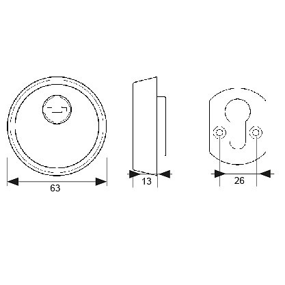ESCUDO SEGURIDAD ES1 63mm NS 