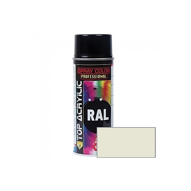 SPRAY PINTURA ACRILICO CARTA RAL RAL 9002 BLANCO GRISACEO 400 ML 