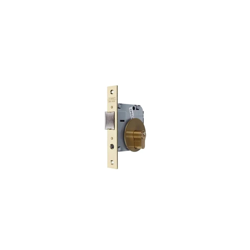 TESA 3520 CERRADURA EXTENSIBLE DE GOLPE PARA PORTEROS ELECTRONICOS 