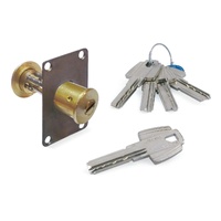 CILINDRO TESA T60 GRADUABLE CON LLAVE DE PUNTOS