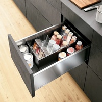 ESPECIERO AMBIALINE PARA CAJONES BLUM LEGRABOX