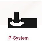 P-System